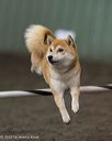 20250614-ccm-1414