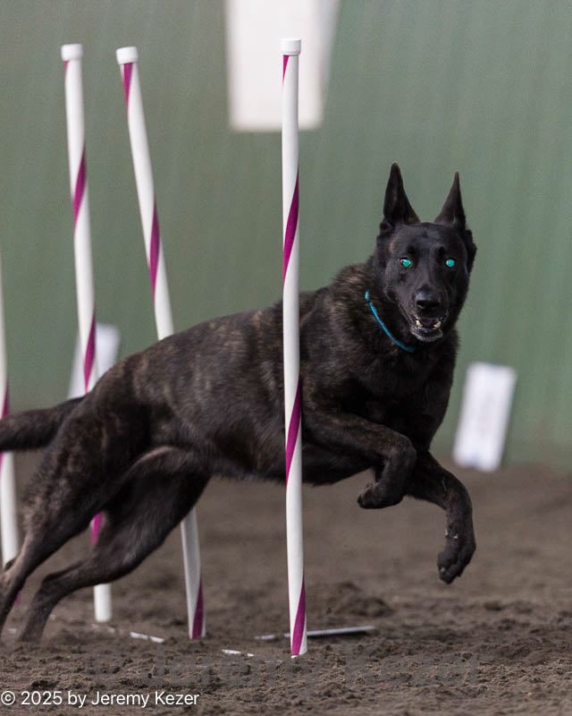 20250614-ccm-1590.jpg