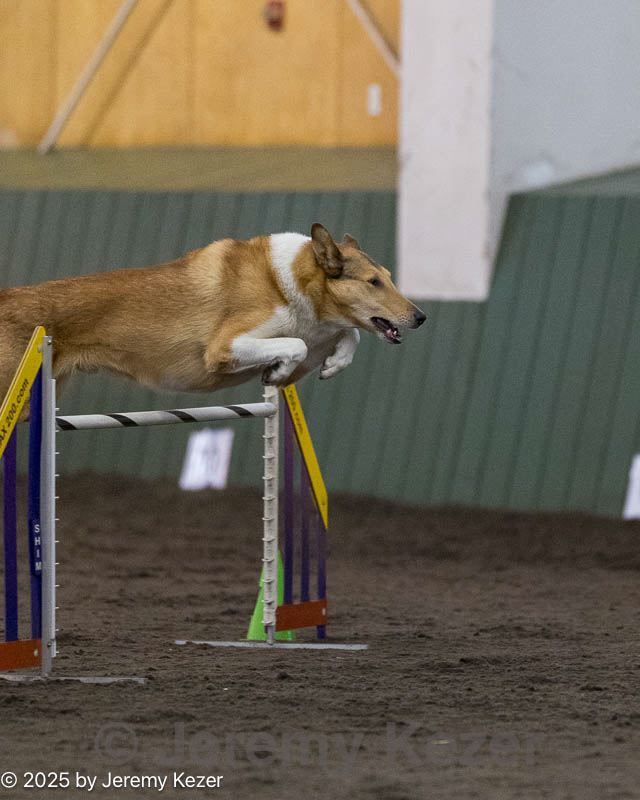 20250614-ccm-1107.jpg
