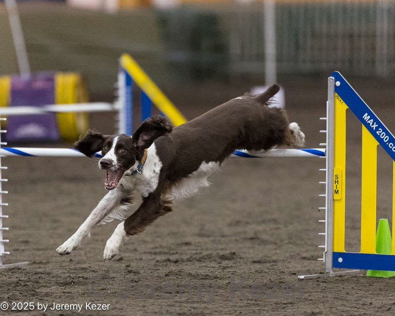 20250614-ccm-0064.jpg