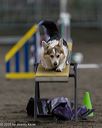 20250614-ccm-1132
