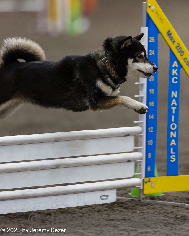 20250614-ccm-1162.jpg