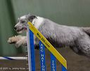 20250615-ccm-0527