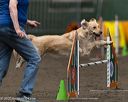 20250615-ccm-0555