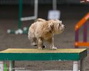 20250615-ccm-0335
