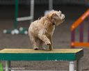 20250615-ccm-0336