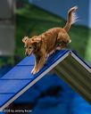 20260103-acnh-2018