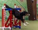 20260103-acnh-2515