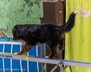20260103-acnh-2492