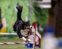 20260103-acnh-2723