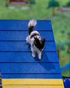 20260103-acnh-2169