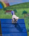 20260103-acnh-2179