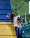 20260103-acnh-2115