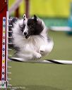 20260103-acnh-2119