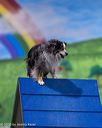 20260103-acnh-2127