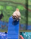 20260104-acnh-0246