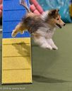 20260104-acnh-0261