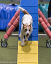 20260104-acnh-0272