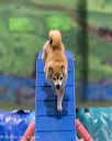 20260104-acnh-0277