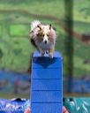 20260104-acnh-0296