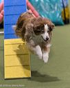 20260104-acnh-0302