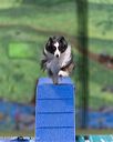 20260104-acnh-0317