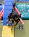 20260104-acnh-0352
