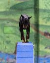 20260104-acnh-0452