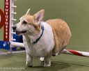 20260104-acnh-0503
