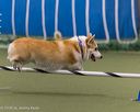 20260104-acnh-0522