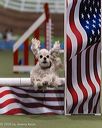 20260104-acnh-0528