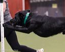 20260104-acnh-0642
