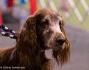 20260221-c-0006