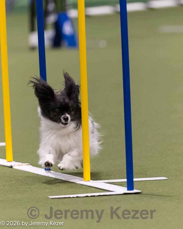 20260221-0345.jpg