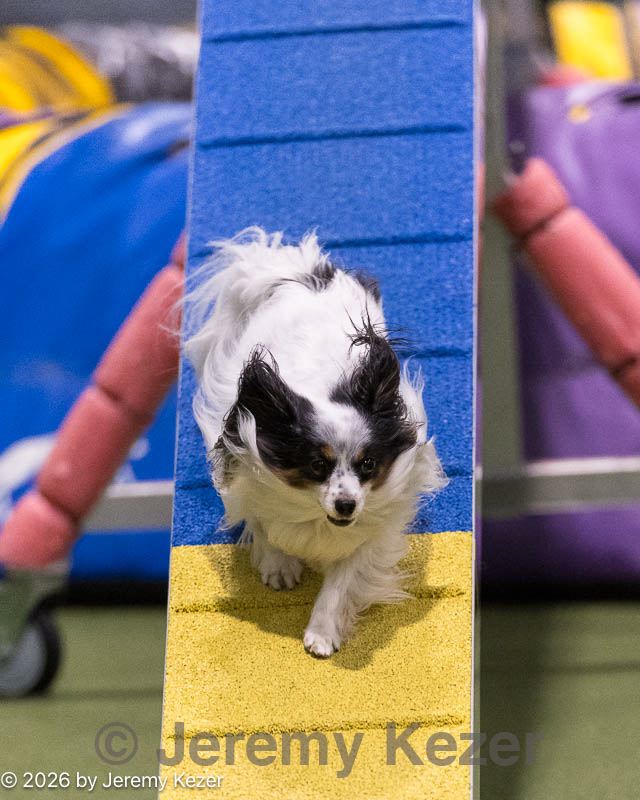 20260221-0370.jpg