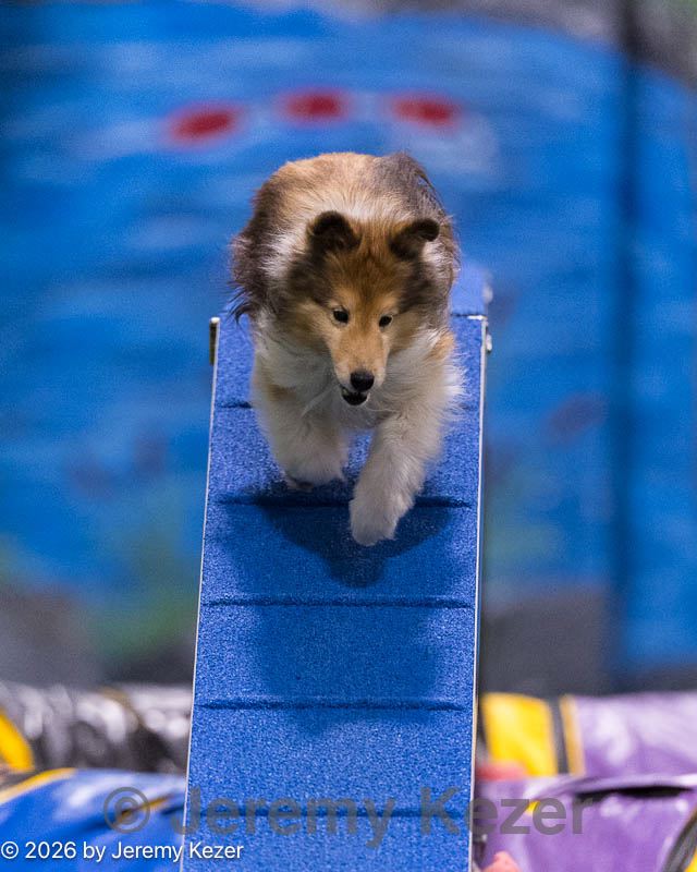 20260221-0383.jpg