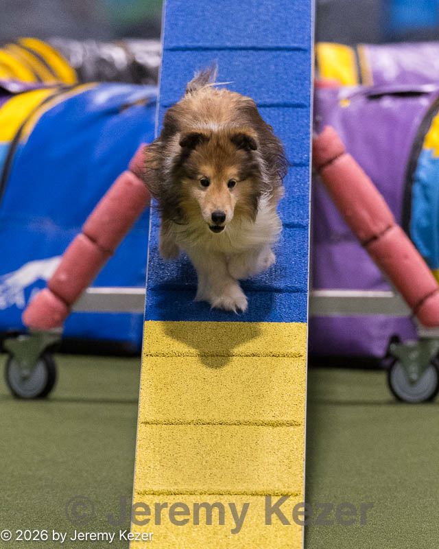20260221-0384.jpg