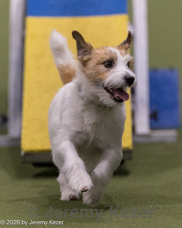 20260221-0405.jpg