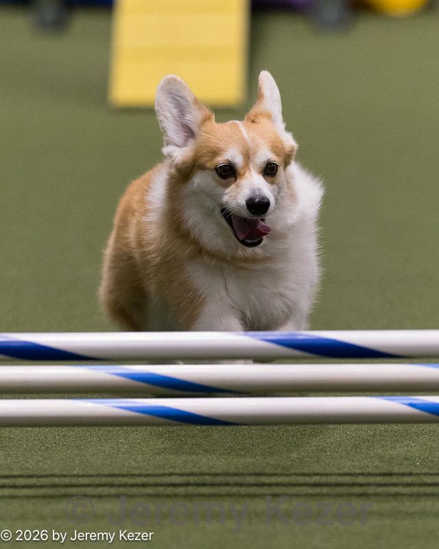 20260221-0422.jpg