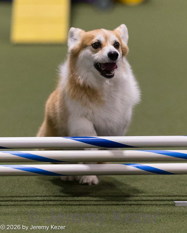 20260221-0424.jpg