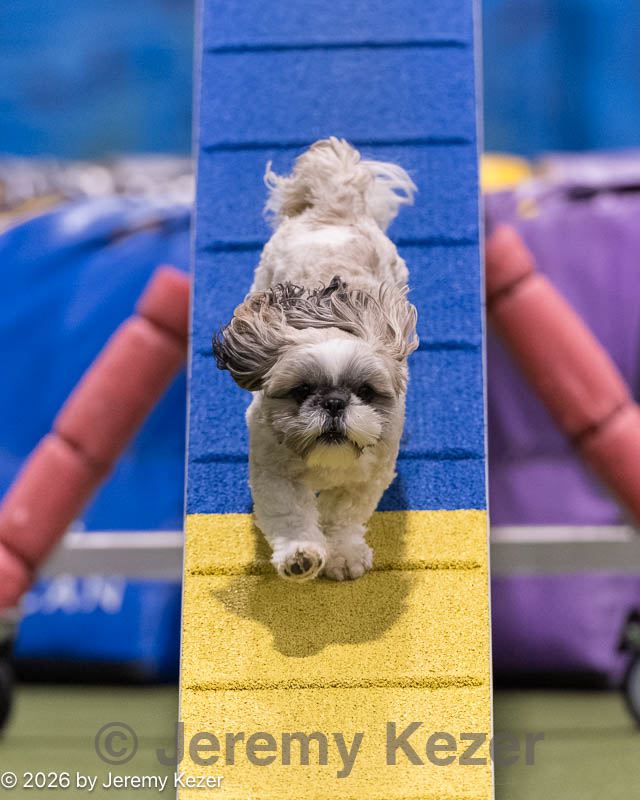 20260221-0452.jpg