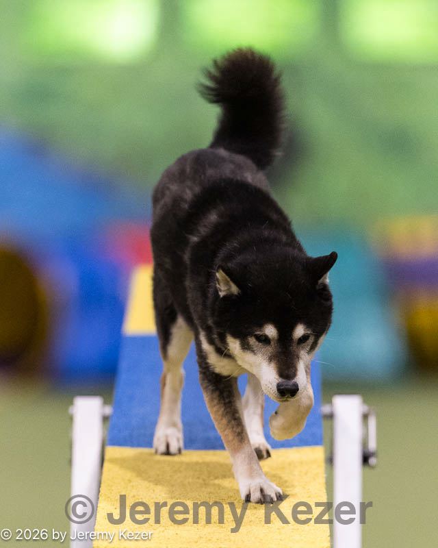 20260221-0506.jpg