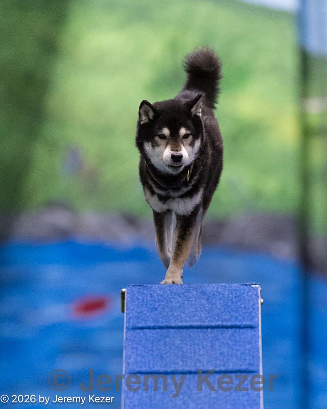 20260221-0511.jpg