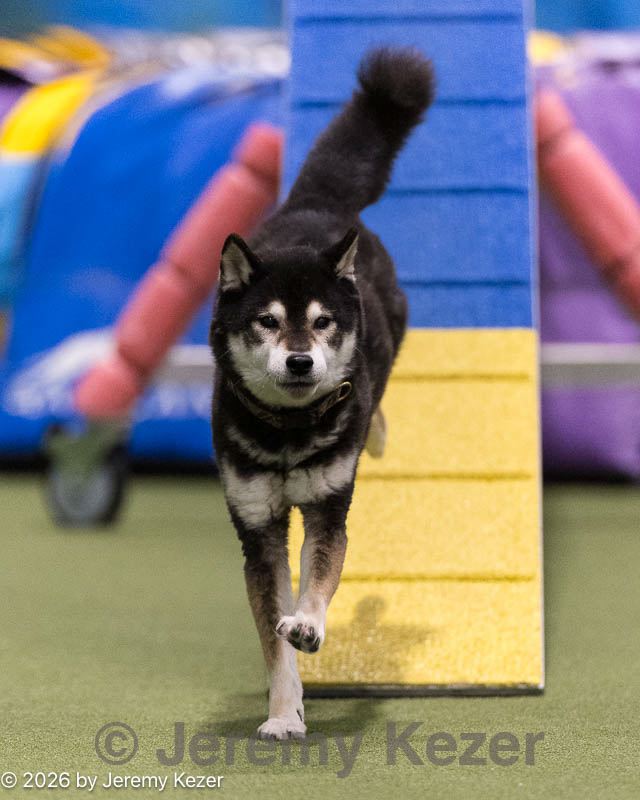 20260221-0515.jpg