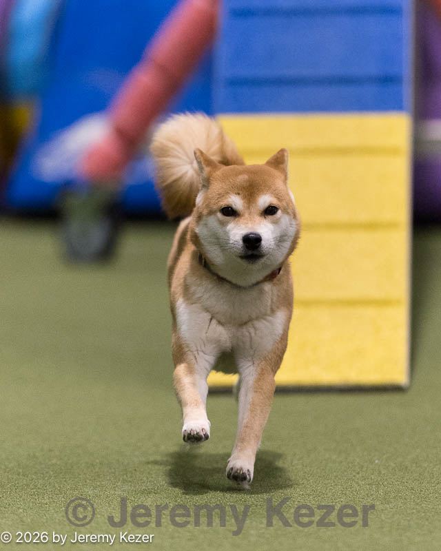 20260221-0533.jpg