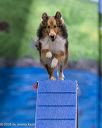 20260221-0730