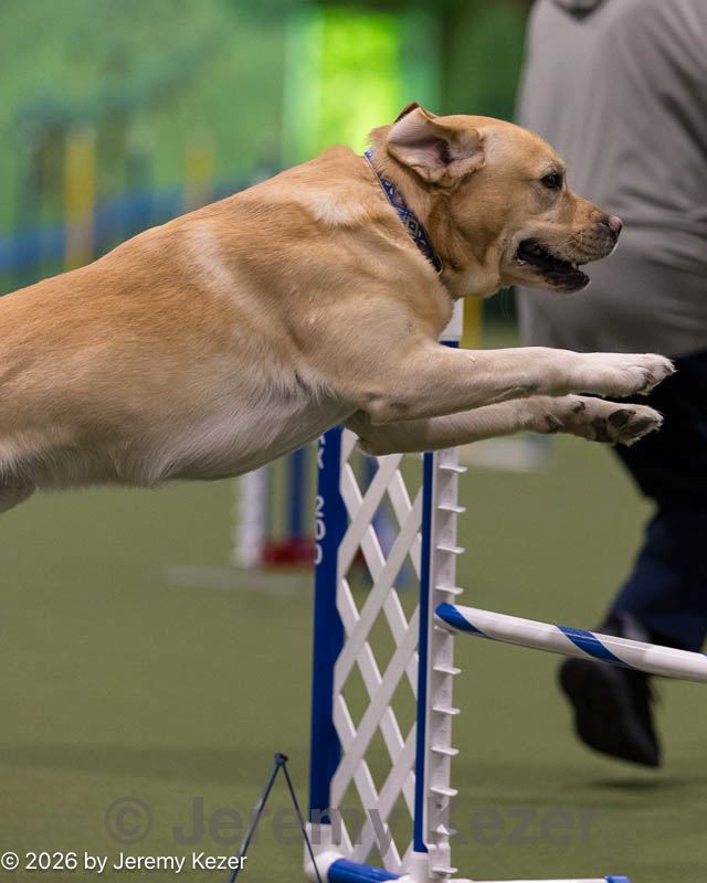 20260221-0552.jpg