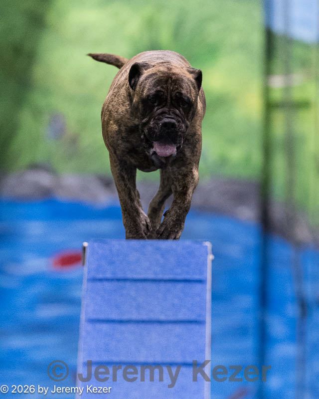 20260221-0561.jpg