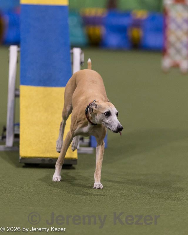 20260221-0673.jpg