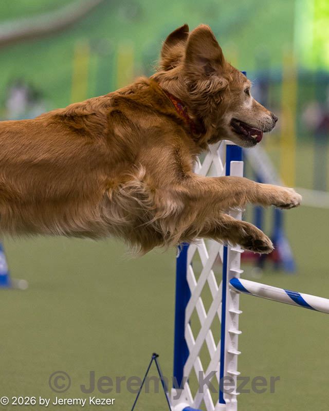 20260221-0701.jpg